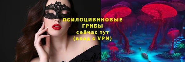 крисы Верхнеуральск