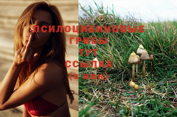 бутик Вязьма