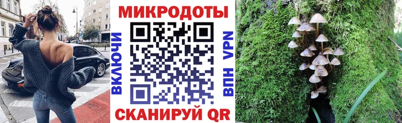 Псилоцибиновые грибы Cubensis  Дно 